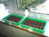 IMAG0227.jpg