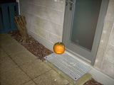 halloween1.jpg