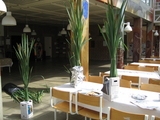 IMG_3731.JPG