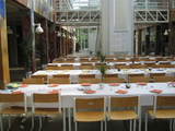 IMG_3736.JPG