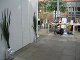 IMG_3738.JPG