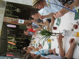 IMG_3743.JPG