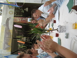 IMG_3764.JPG
