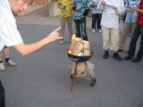 IMG_3801.JPG