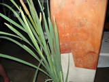 DSC00930.JPG