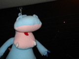 DSC01076.JPG