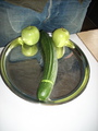 dscn1805.jpg