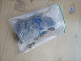 dscn1565.jpg