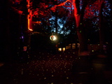 dscn1574.jpg