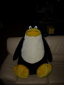 dscn1600.jpg