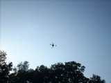 dscn1637.jpg