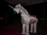 dscn1669.jpg