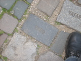 dscn1465.jpg
