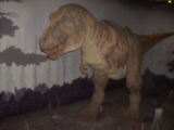 DSCN2659.JPG