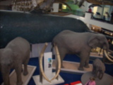 DSCN2667.JPG