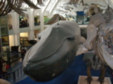 DSCN2669.JPG