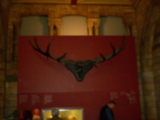 DSCN2670.JPG