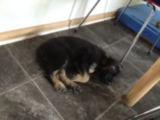 201407091216_mt_ikast.jpg