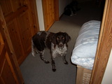 DSCN0079.JPG
