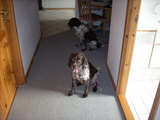DSCN0080.JPG