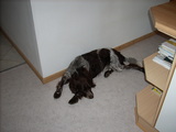DSCN0081.JPG