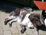 DSCN0085.JPG