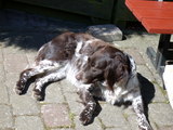 DSCN0086.JPG