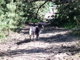 DSCN0087.JPG