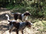 DSCN0088.JPG