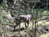 DSCN0089.JPG