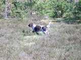 DSCN0090.JPG