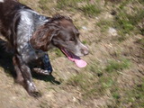 DSCN0091.JPG