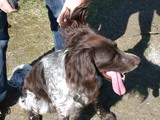 DSCN0092.JPG