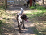DSCN0093.JPG