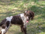 DSCN0094.JPG