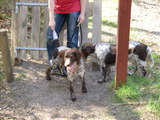 DSCN0095.JPG