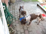DSCN0097.JPG