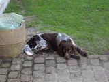 DSCN0098.JPG