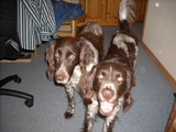 DSCN0099.JPG