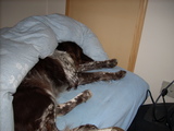 dscn0277.jpg