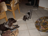 dscn0954.jpg