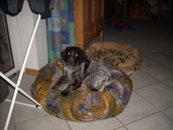 dscn0957.jpg