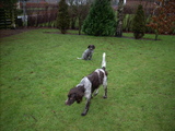 dscn0958.jpg