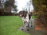 dscn0961.jpg
