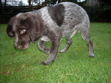 dscn0962.jpg