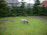 dscn0965.jpg
