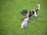 dscn0968.jpg