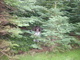 dscn0973.jpg
