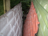 dscn0981.jpg