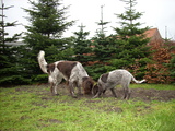 dscn0985.jpg